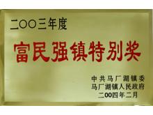 2003年度富民強鎮特別獎