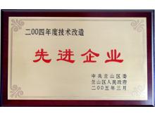 ２００４年度技改先進(jìn)企業(yè)